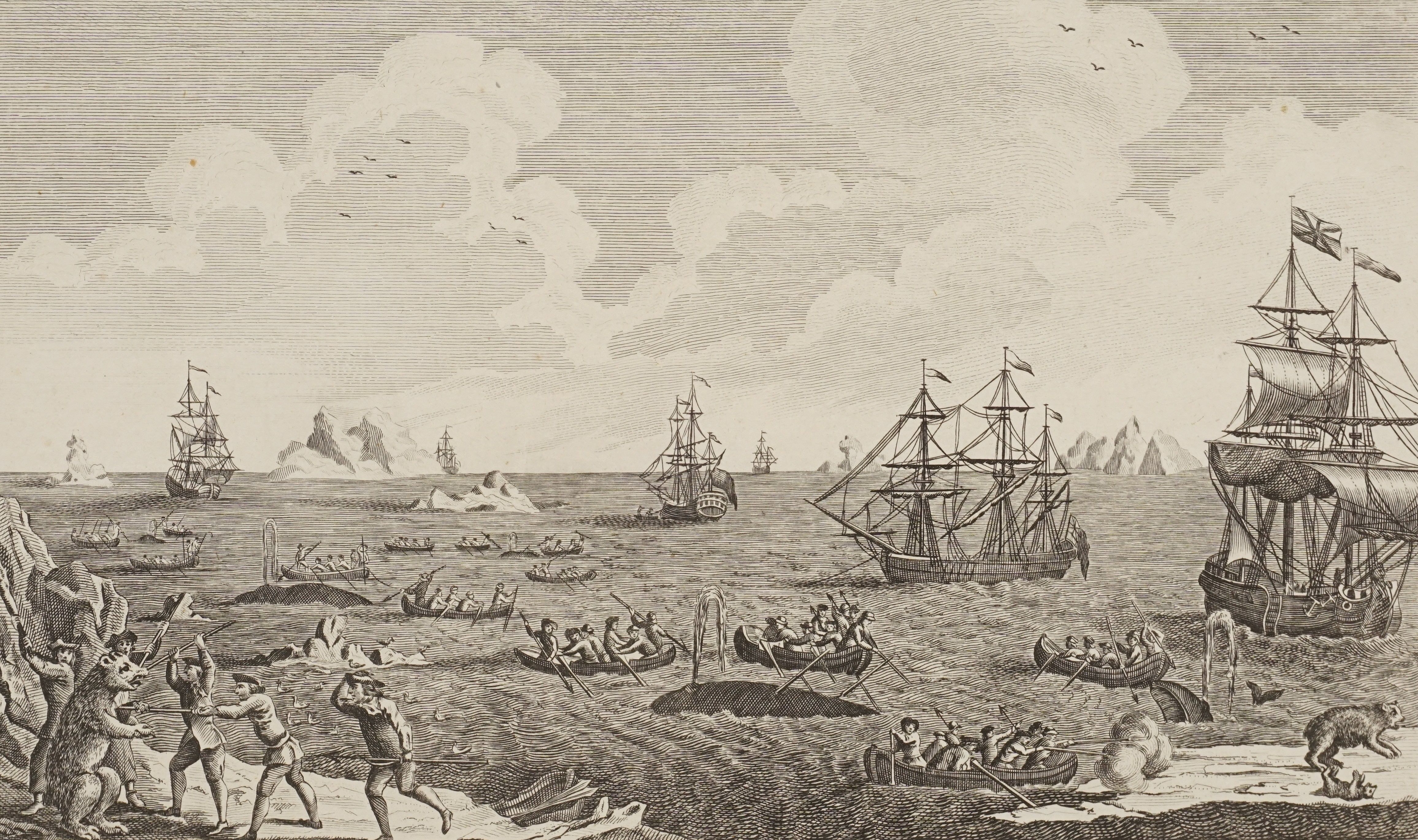 Thomas Bankes | A View of the Whale-Fishery, and the manner of Killing ...