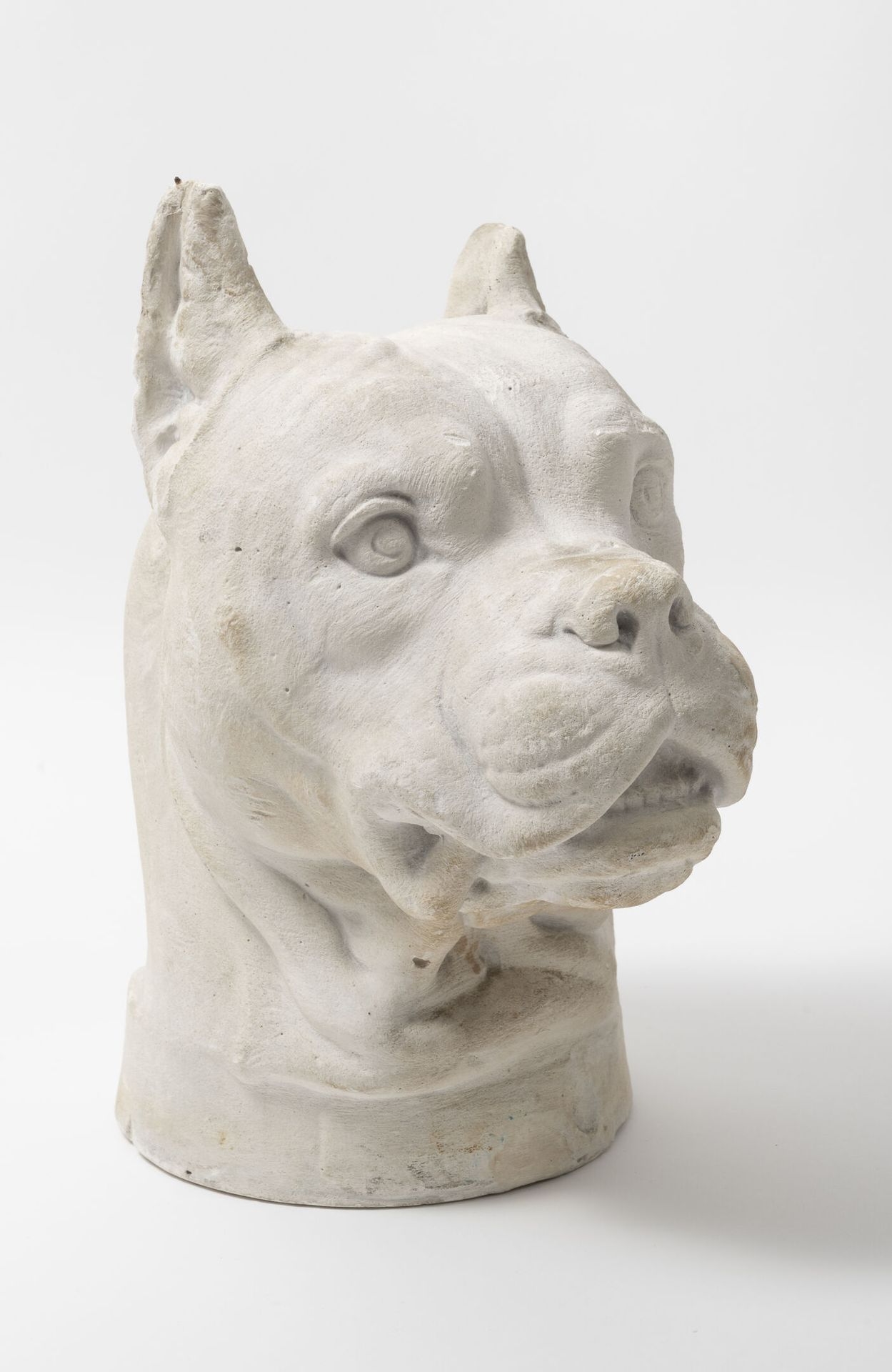 Pierre Louis Rouillard | Study of a dog's head. | MutualArt