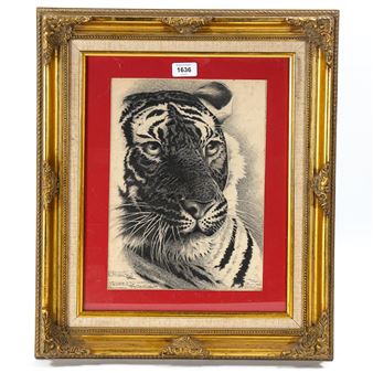 tiger - Trajan St Ines