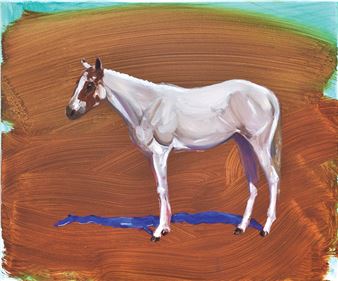 Modrý stín - Petr Hajdyla