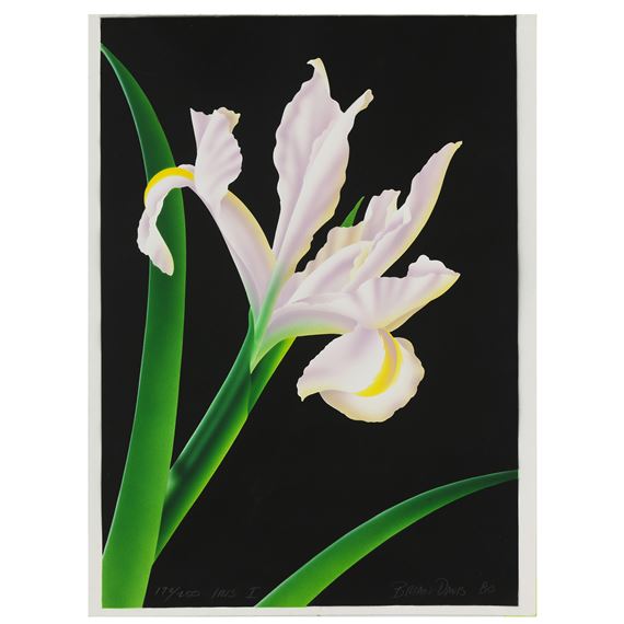 "Iris I," by Brian Davis