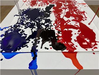 Addie Wagenknecht’s Fraying of America