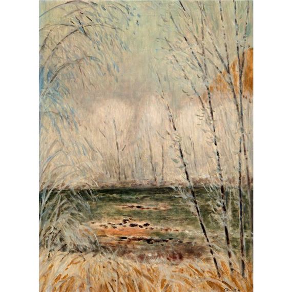 Raureif am Rhein by Leonhard Meisser, 1973