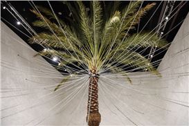 Abu Dhabi Art 2021 Promises Plenty of Opportunities for Change After the Pandemic