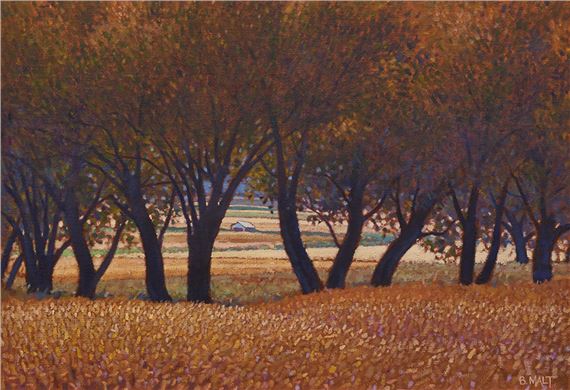 Iron Bark Grove, Darling Downs by Brian D. Malt