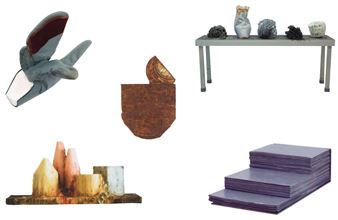 Cose Naturali: Uber das Wesen der Dinge - Galerie M + R Fricke