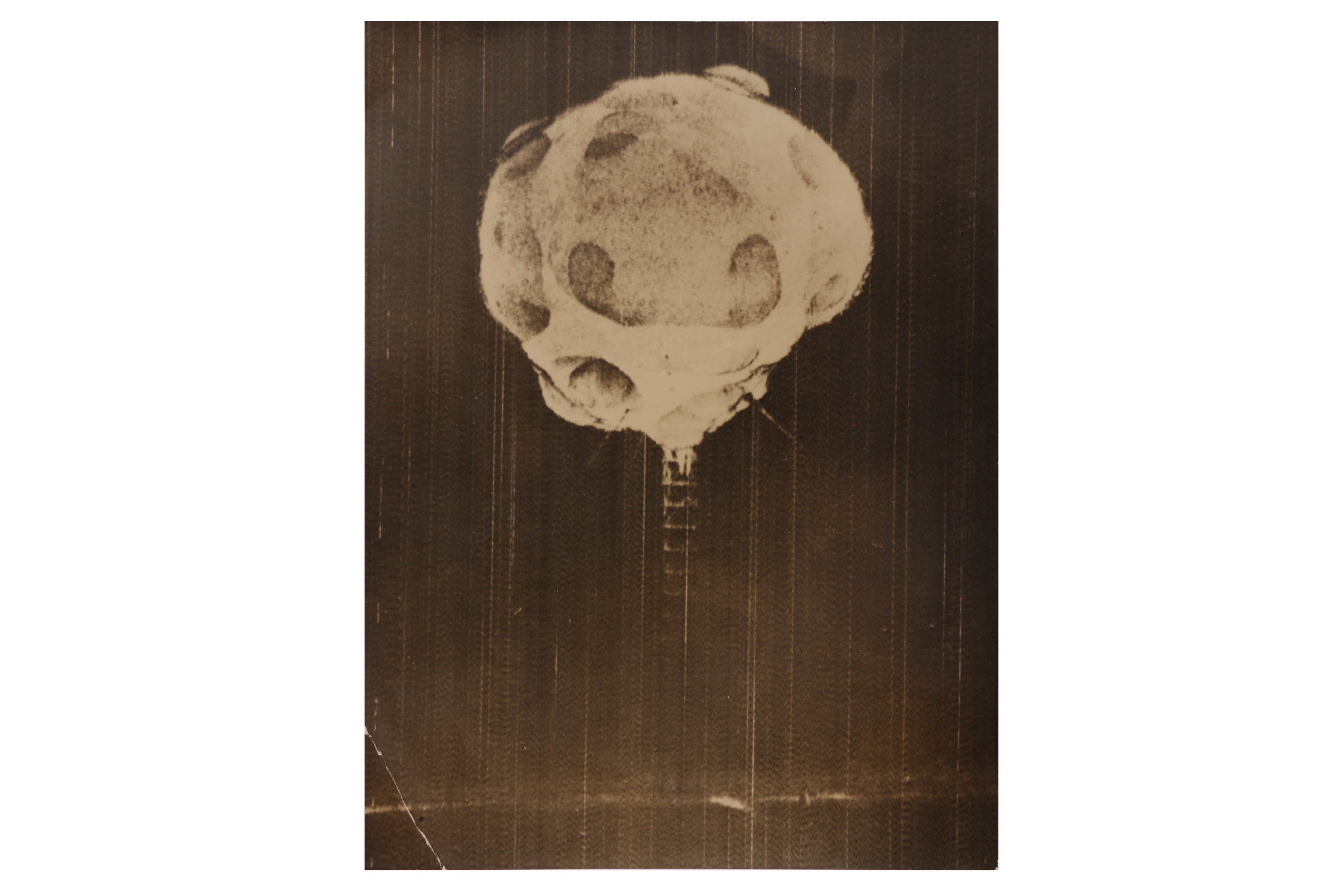 Harold Eugene Edgerton ATMOSPHERIC NUCLEAR TEST ONE MILLISECOND AFTER
