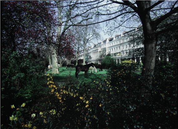 LOCAL ZOOLOGICAL GARDENS - Eva Stenram