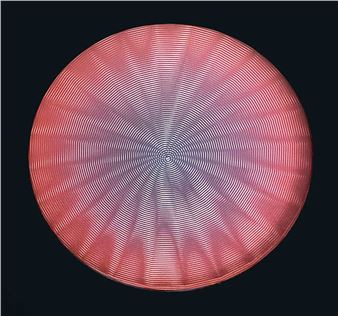 Trama inquieta - Roger Mac Entyre