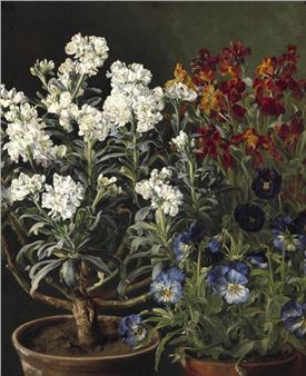 Still life with wallflowers (gyldenlak) - Julie Hamann