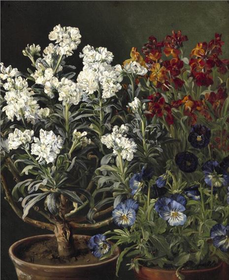 Still life with wallflowers (gyldenlak) by Julie Hamann