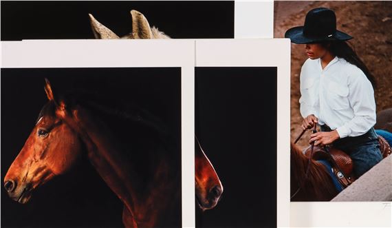 EQUINE PHOTOGRAPHS - David Sinclair