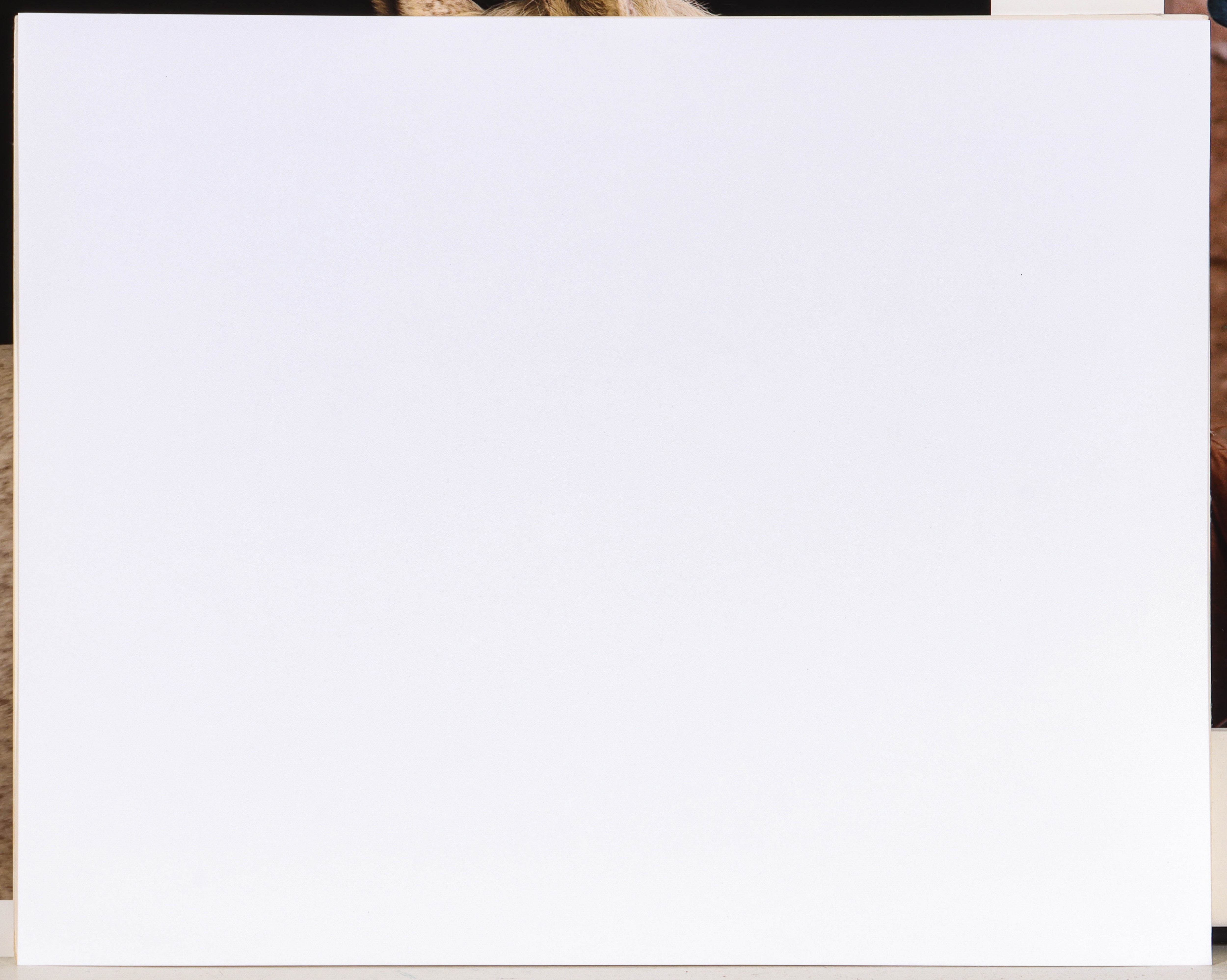 Artwork by David Sinclair, EQUINE PHOTOGRAPHS, Made of color photographs