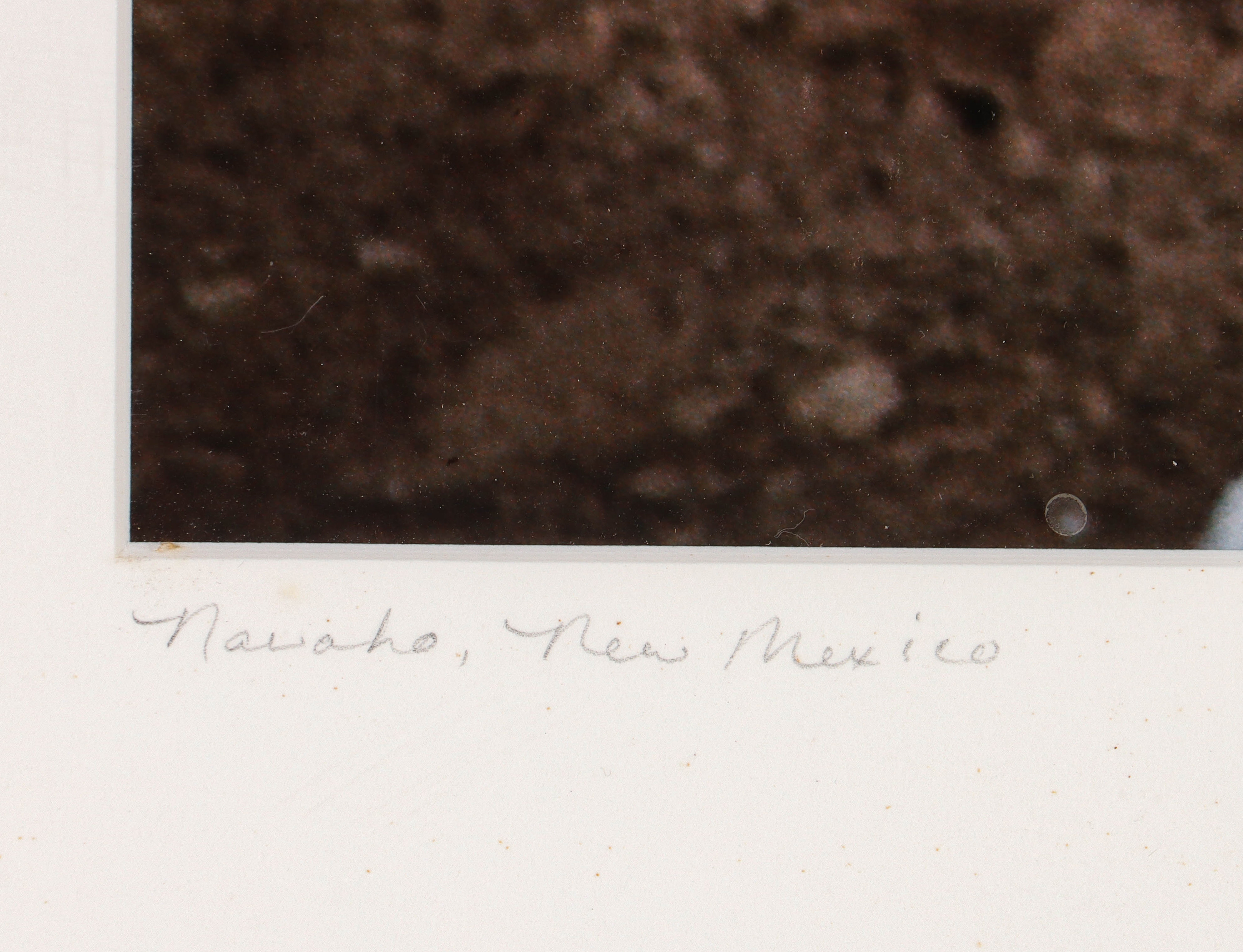 Artwork by David Sinclair, EQUINE PHOTOGRAPHS, Made of color photographs