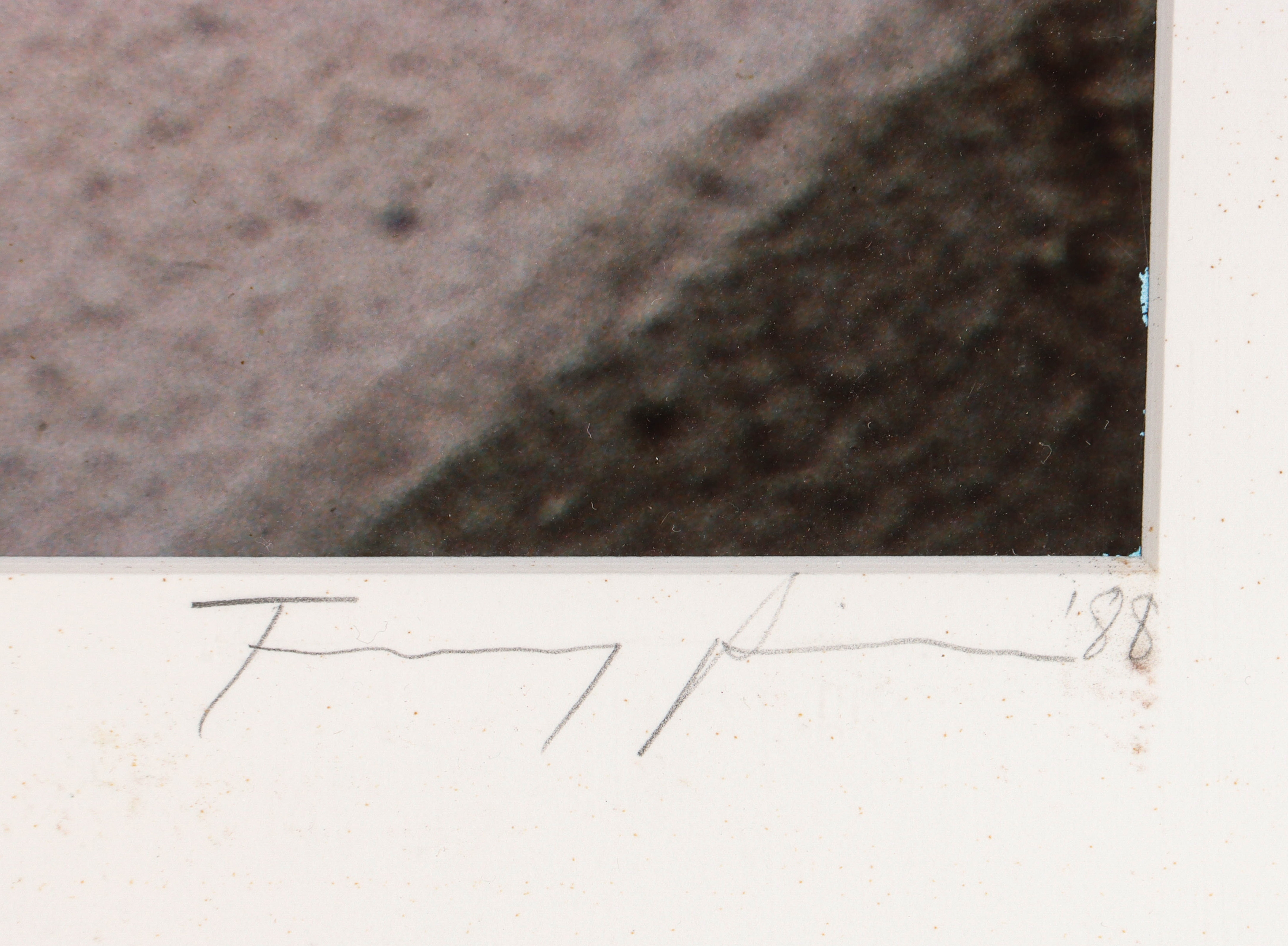 Artwork by David Sinclair, EQUINE PHOTOGRAPHS, Made of color photographs