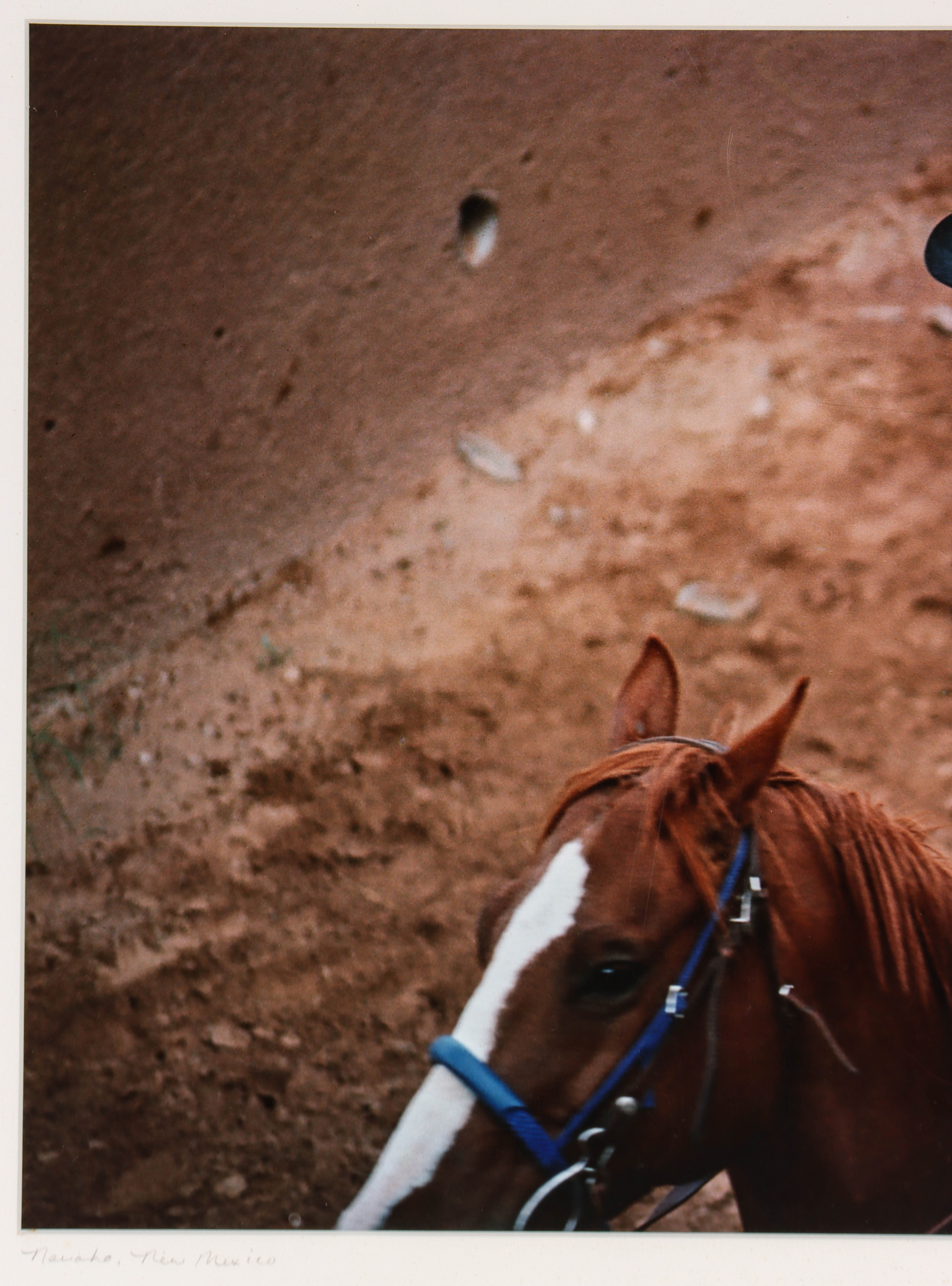 Artwork by David Sinclair, EQUINE PHOTOGRAPHS, Made of color photographs