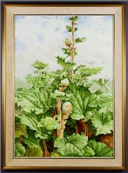 Rhubarb - Barry Kirk