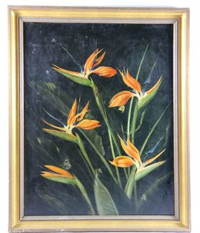 Strelizien auf schwarzem Grund - Camill Macklot