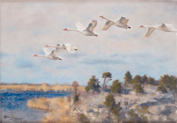Swans in flight