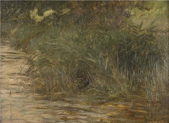 'Beckasin i vass' (Snipe among reeds) by Bruno Liljefors, dated 1906