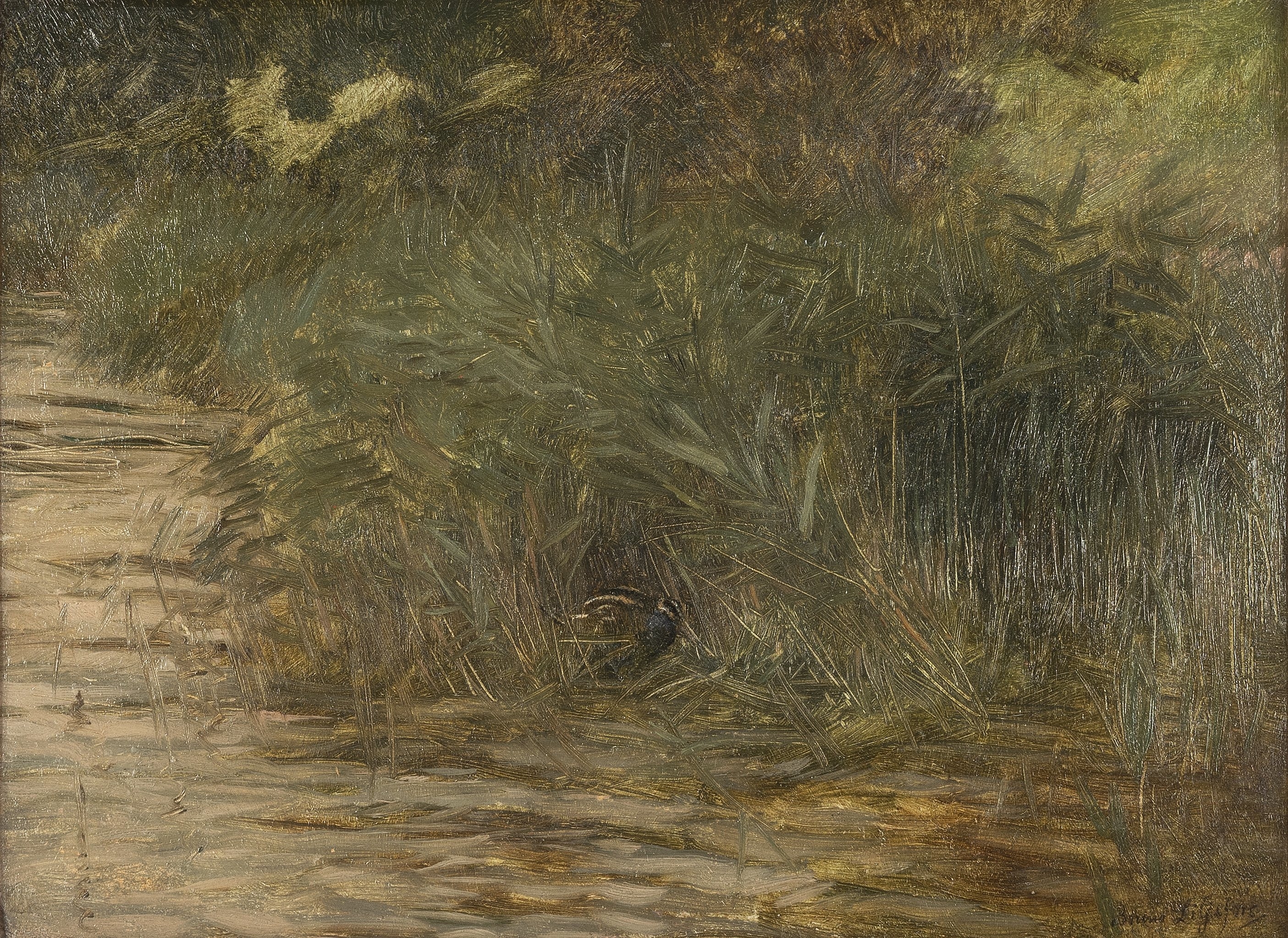 Artwork by Bruno Liljefors, 'Beckasin i vass' (Snipe among reeds), Made of Paper panel