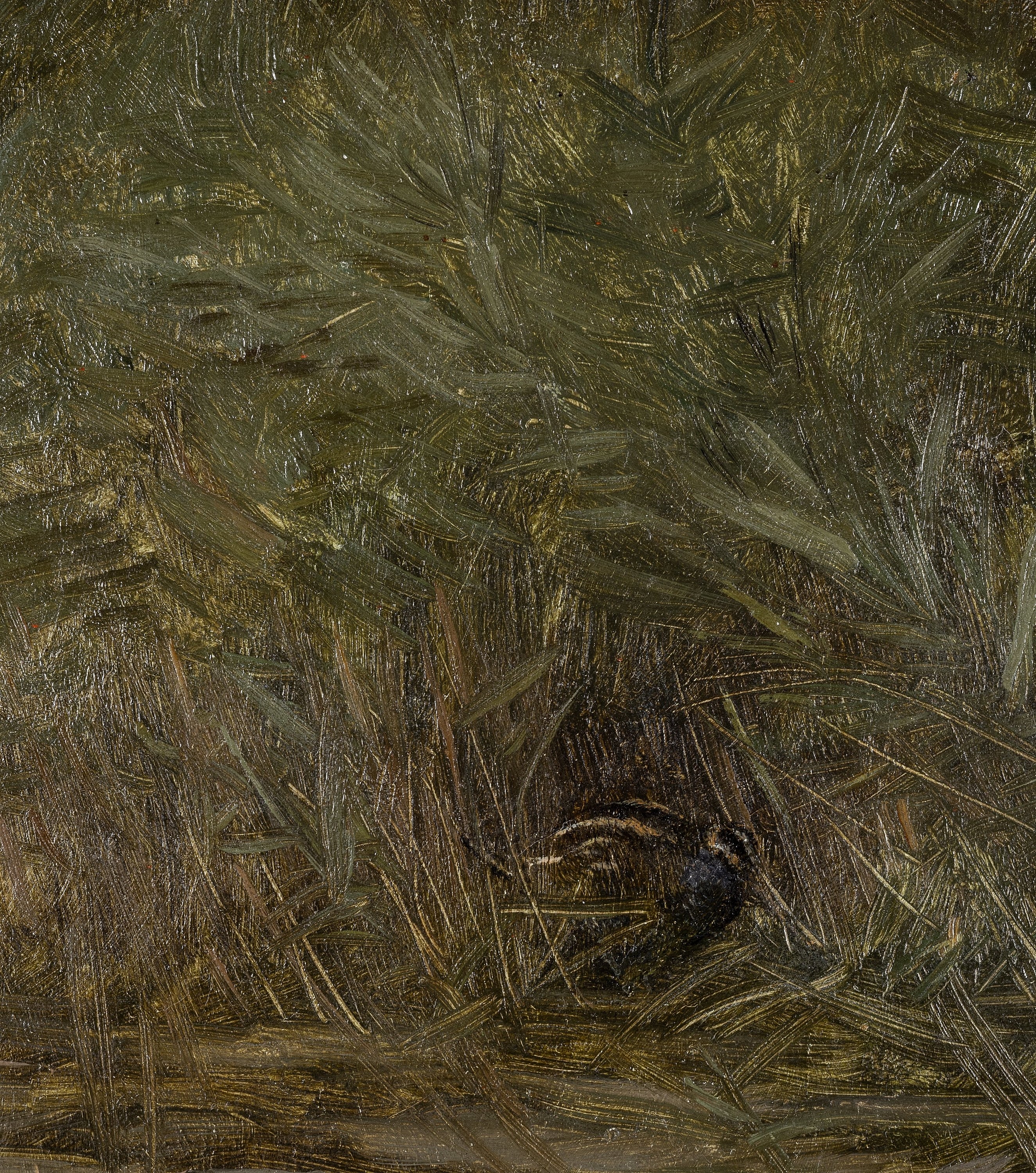 Artwork by Bruno Liljefors, 'Beckasin i vass' (Snipe among reeds), Made of Paper panel