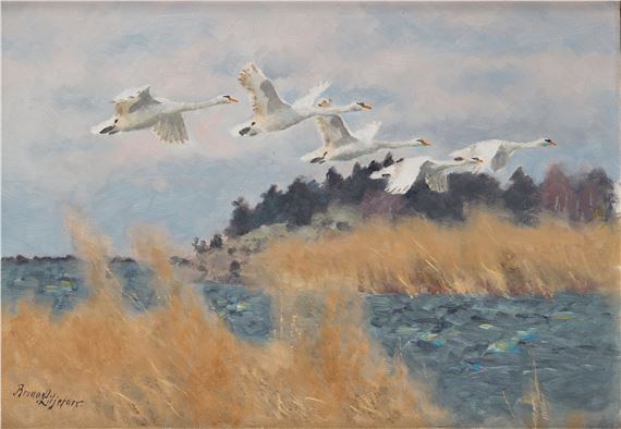 Swans in flight
