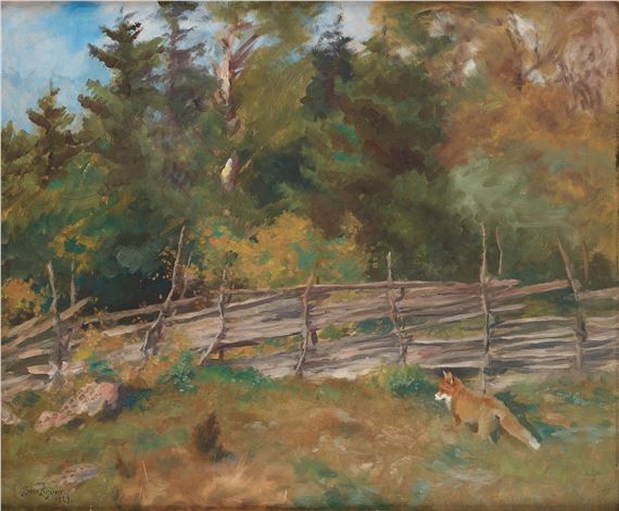 Fox in a summer landscape