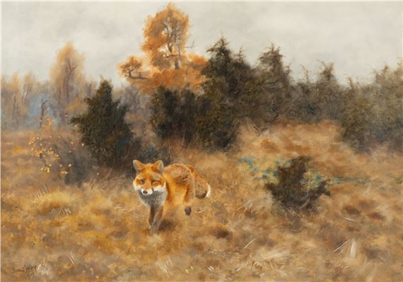 Fox in an autumn landscape
