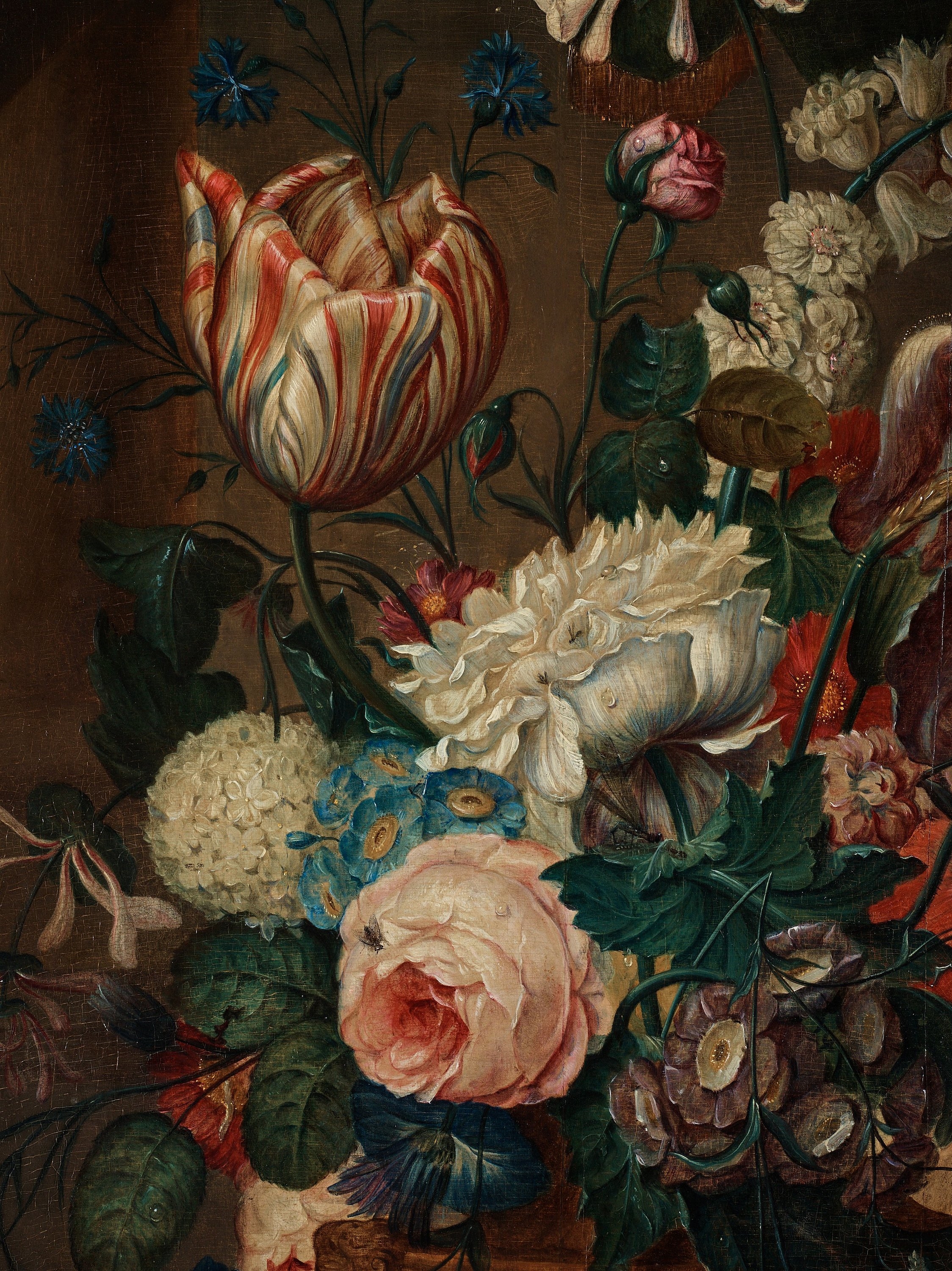 Artwork by Coenraet Conrad Roepel, Stillife with flowers, butterflies and a birds nest, Made of panel