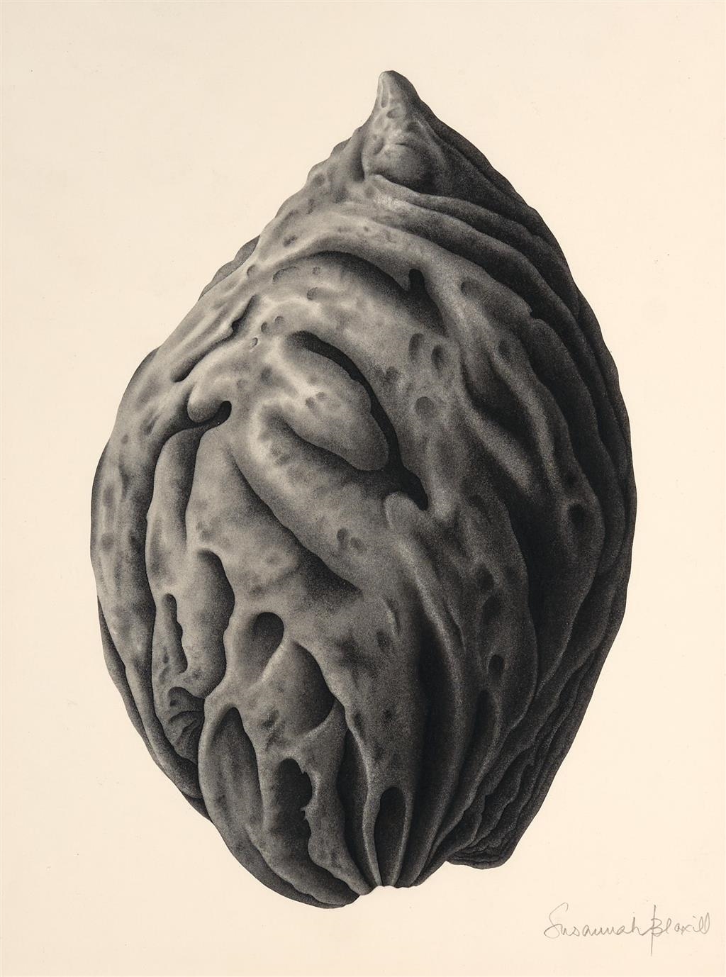 susannah-blaxill-prunus-persica-mutualart