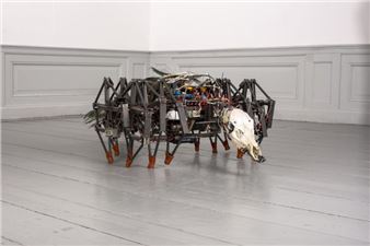 Jelle Korevaar: Reuring - Albada Jelgersma