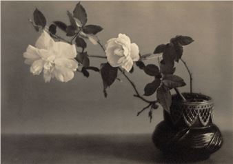 Prewar Japanese American Pictorialism - Laurence Miller Gallery