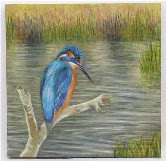 A portrait of a kingfisher bird perched on a branch - Evelyn Row