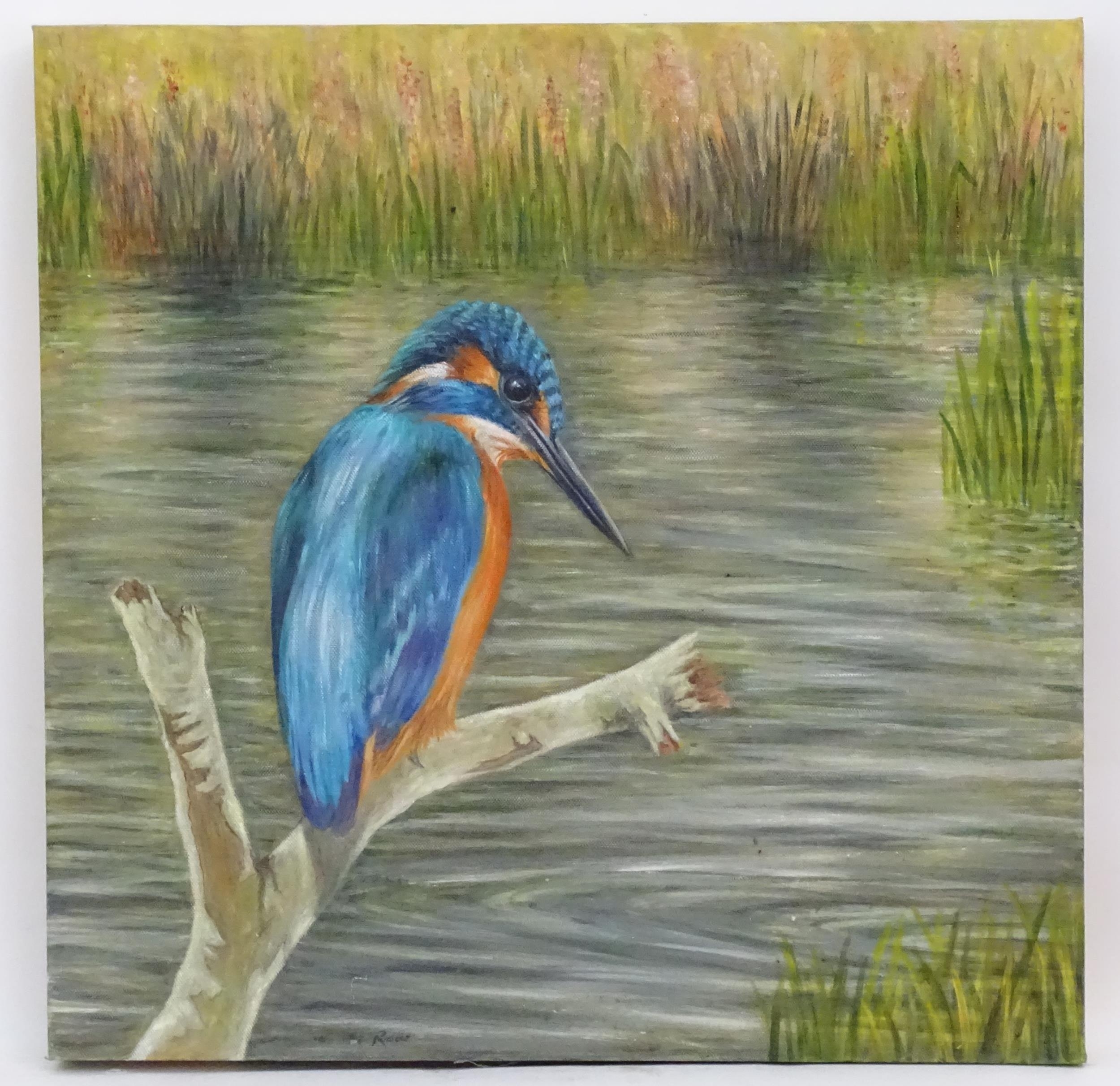 Artwork by Evelyn Row, A portrait of a kingfisher bird perched on a branch, Made of Oil on canvas