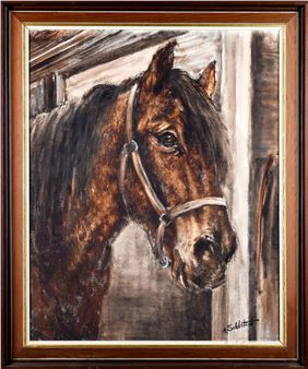 Horse portrait - Ann-liz Sehlstedt
