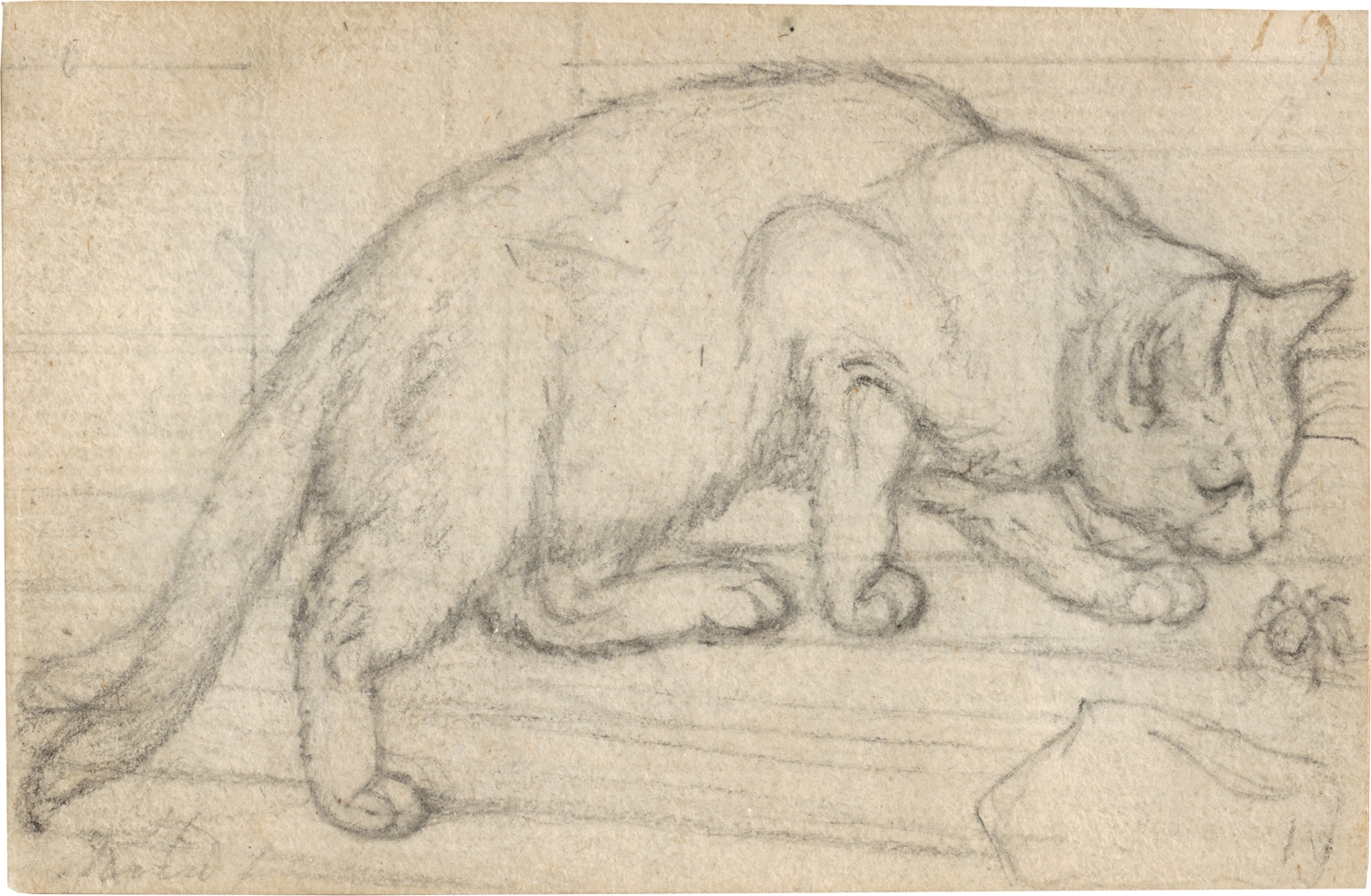 Artwork by Gottfried Mind, Liegende Katze nach links. Mit einer Spinne spielende Katze, Made of Pencil on wove paper
