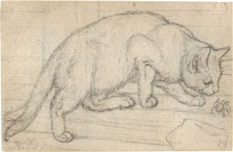 Liegende Katze nach links. Mit einer Spinne spielende Katze - Gottfried Mind