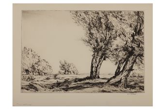 Willows - William Palmer Robins