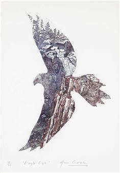 Eagle Eyes - Ann Crook