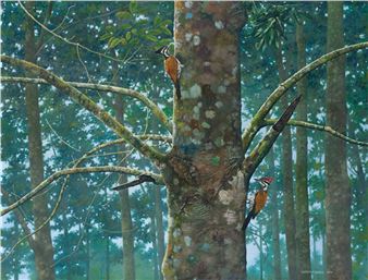 Common Goldenback Woodpecker - Zaharuddin Sarbini