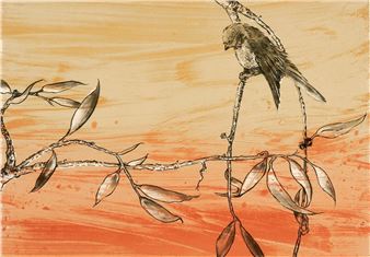 Flinders Bird - Jo Darvall