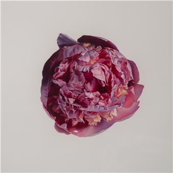 Historia lata - Przemysław Kubicki