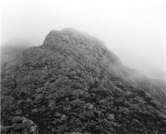 Snapshots of 'Hope' Reflect Global Efforts to Protect Environment