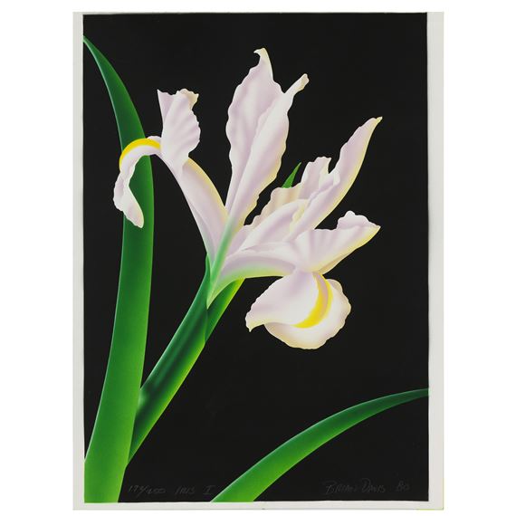 "Iris I by Brian Davis