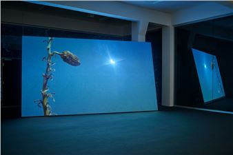 A.K. Burns' Negative Space: Prepositions Of The Future - Wallach Art Gallery, Columbia University