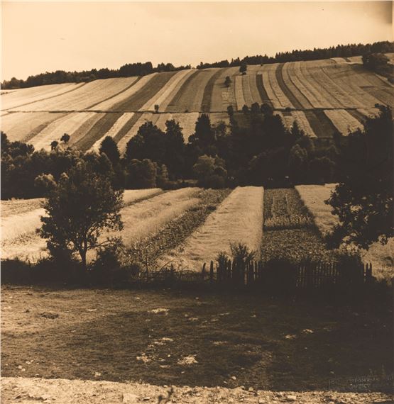 Landscape by Josef Vetrovsky, 1936