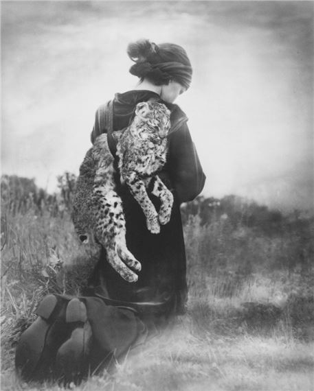 Journey of the Bobcat by Beth Moon, 2007