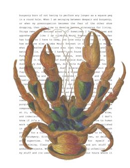 Daily Ritual - Center for Book Arts