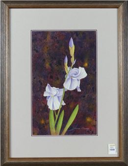 Wild Iris, Stouffville, Ont - James W. Bessey